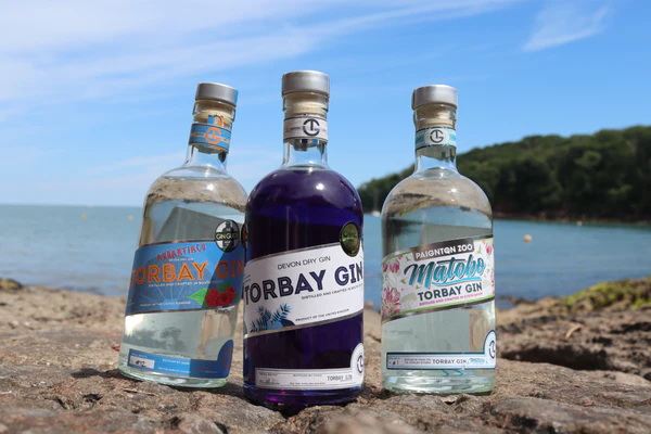 Potential Health Benefits of Gin: