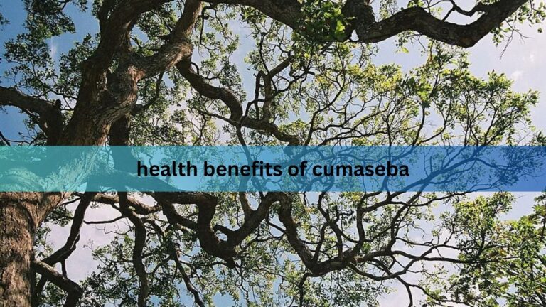 health benefits of cumaseba