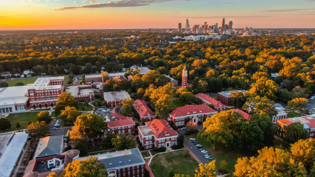 Spotlight on Charlotte’s Standout Providers